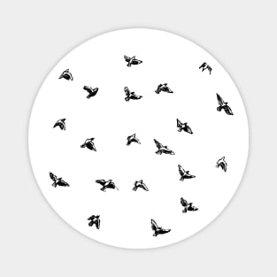 Flying Birds Magnet